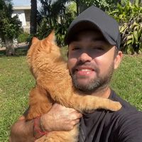 clovisgato