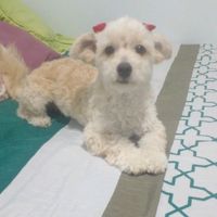 betsyalciva