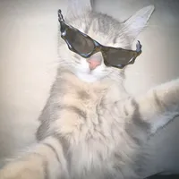 original sound - reagui3