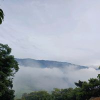 mirnaguerra123
