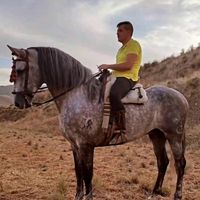 joseylore93