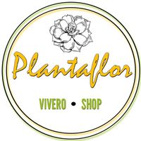 plantaflor.mx
