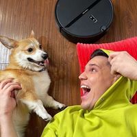 оригинальный звук