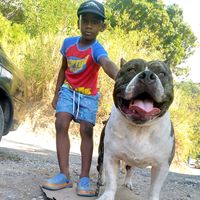 machinesquad_kennel