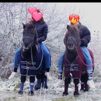 pony_zeugs2