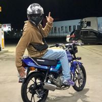 7roginho_
