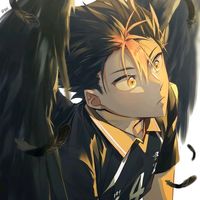 mcz.m