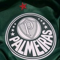 .palmeiras111