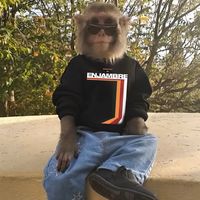 danichee.yo