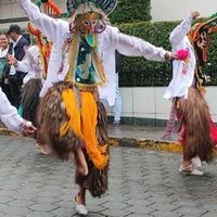 pasion.ala.danza