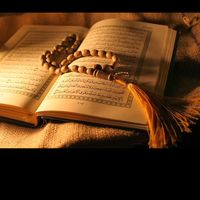 samafcollectionbazin