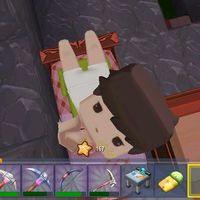 ntmimo_id
