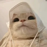 original sound - jp_m25