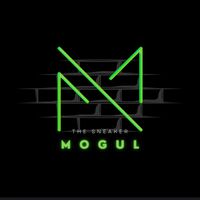 thesneakermogul