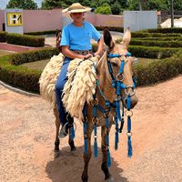marcosilves