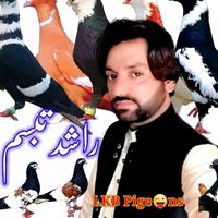 lkbpigeons