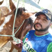 junior.gomes952