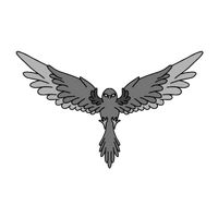 fahneiss