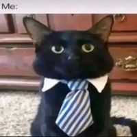 original sound - Rico