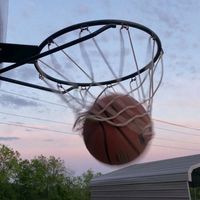 schillerreynaurquia7