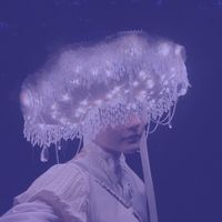 half_baked_mushrooms