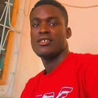 flashlelion10