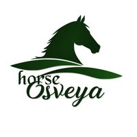 horse_osveya