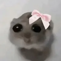 original sound - denalybruh