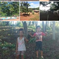 sobrevivencialista9anos