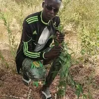 original sound - user8140538853139