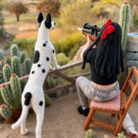 pilar_contanza21