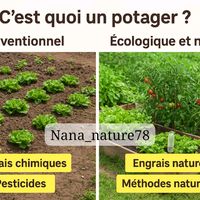 vitaplantes