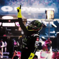 original sound - badger.mov