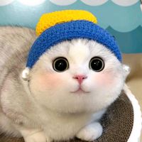 shi.m.xin