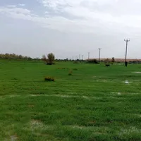 original sound - hamadi._.2003