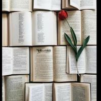 user.booksss