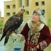 logoped_jandos.sailaubai