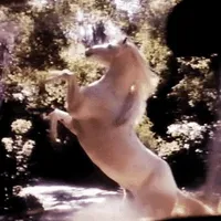 original sound - ssymph0ny