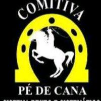 comitiva_pe_de_cana