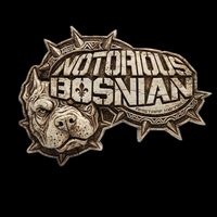 notoriousbosnian