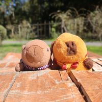 la.capibara.molly