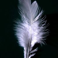 cantinho.das.ofertas.23