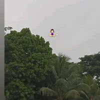 k_msl_13