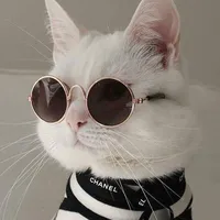 original sound - itsblasphemus