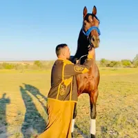 original sound - abdo_abdo28