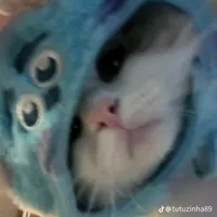 original sound - jinurumi937262