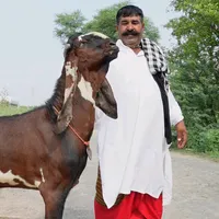 original sound - sufyangujjar2014211428