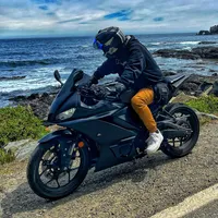 original sound - sombradecactus