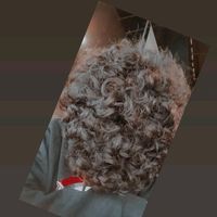colocho_z1