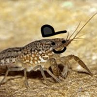 original sound - CrayFish